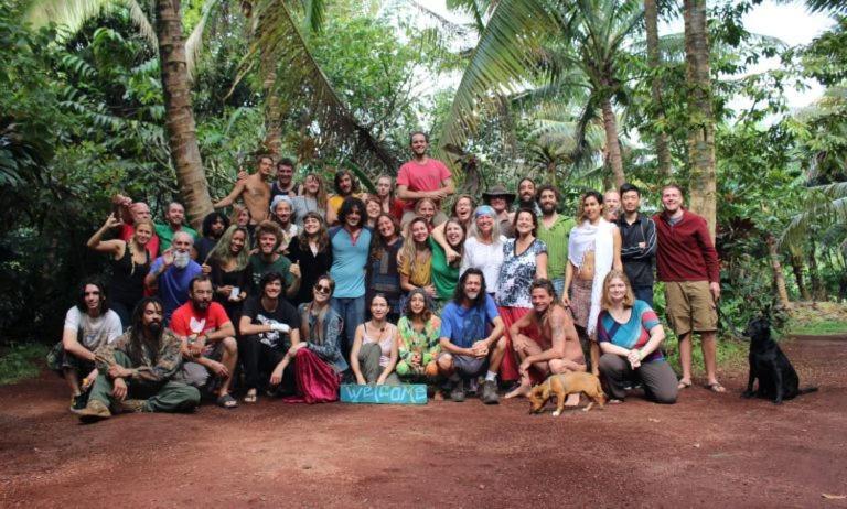 Paradise Eco Village Pahoa Eksteriør billede