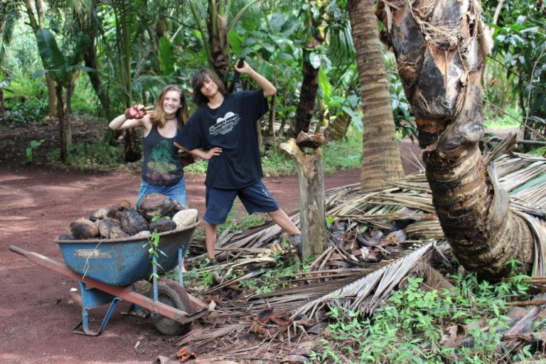Paradise Eco Village Pahoa Eksteriør billede
