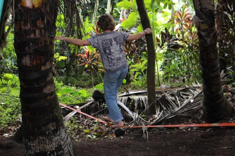 Paradise Eco Village Pahoa Eksteriør billede