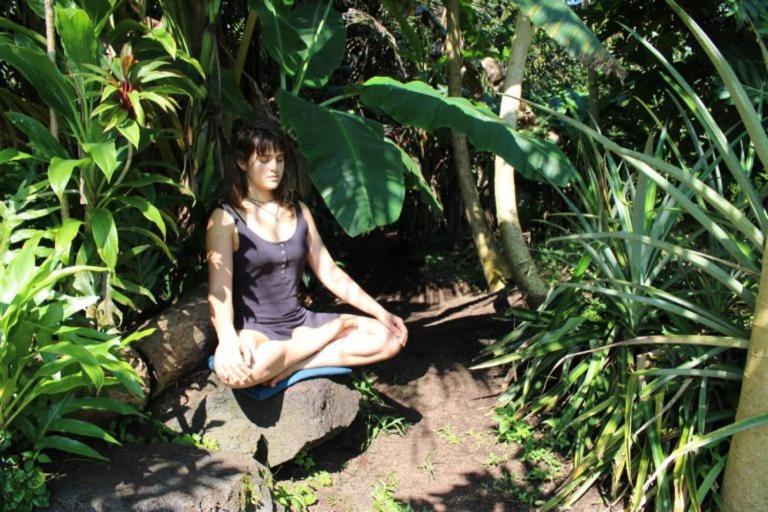 Paradise Eco Village Pahoa Eksteriør billede