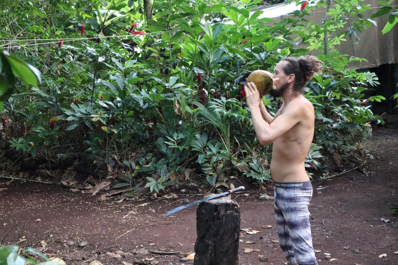 Paradise Eco Village Pahoa Eksteriør billede