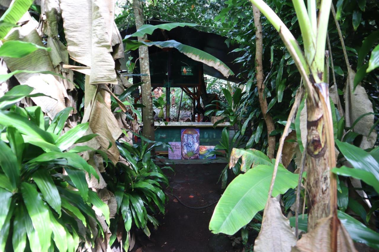 Paradise Eco Village Pahoa Eksteriør billede