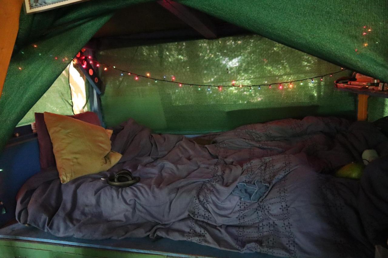 Paradise Eco Village Pahoa Eksteriør billede