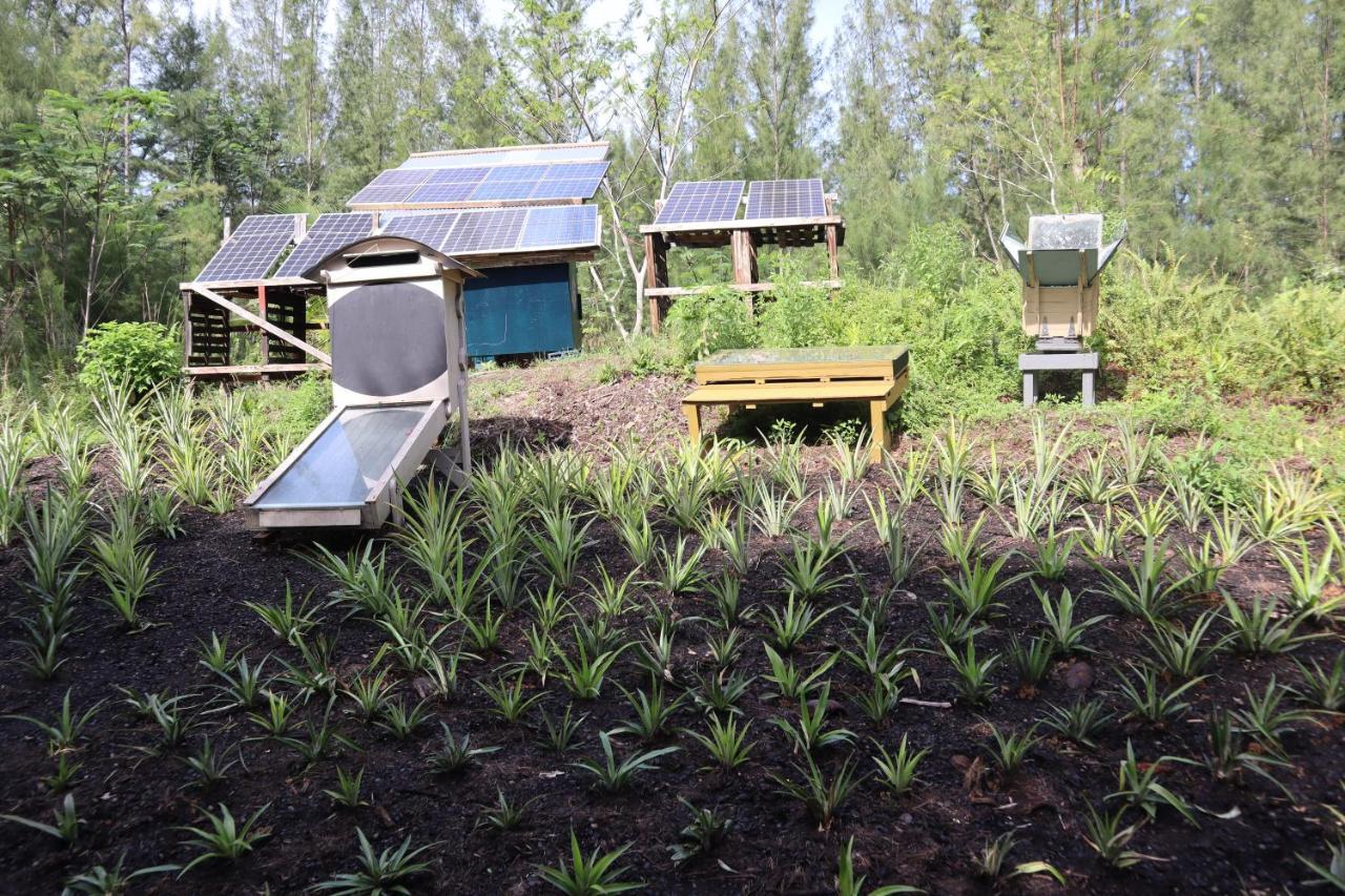Paradise Eco Village Pahoa Eksteriør billede