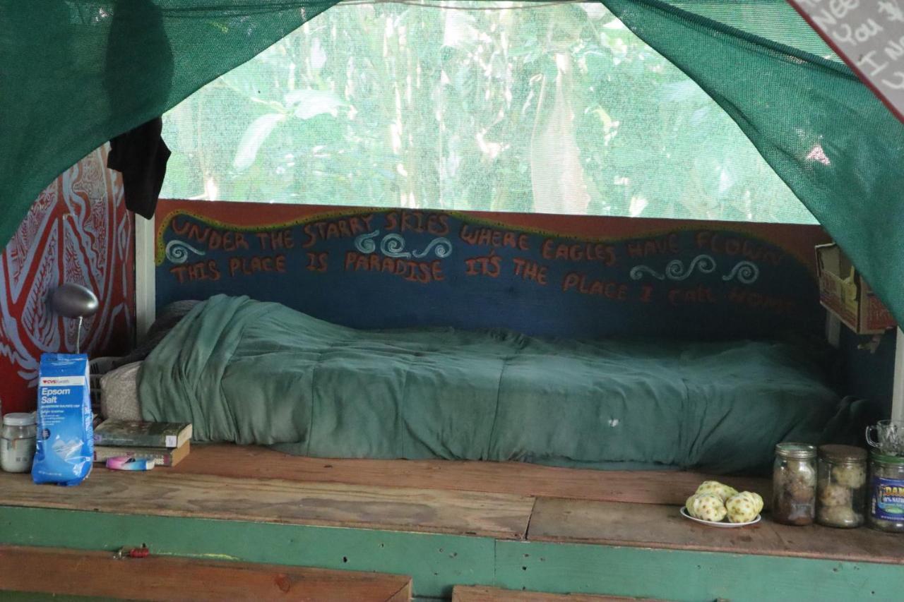 Paradise Eco Village Pahoa Eksteriør billede
