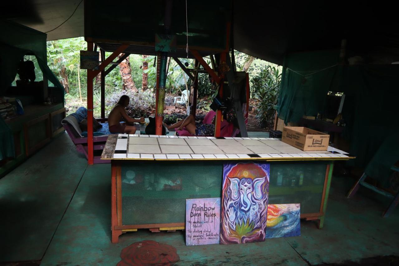 Paradise Eco Village Pahoa Eksteriør billede