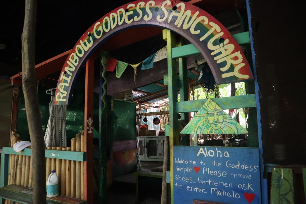 Paradise Eco Village Pahoa Eksteriør billede